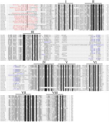 Genome-Wide Identification, Cloning and Functional Analysis of the Zinc/Iron-Regulated Transporter-Like Protein (ZIP) Gene Family in Trifoliate Orange (Poncirus trifoliata L. Raf.)